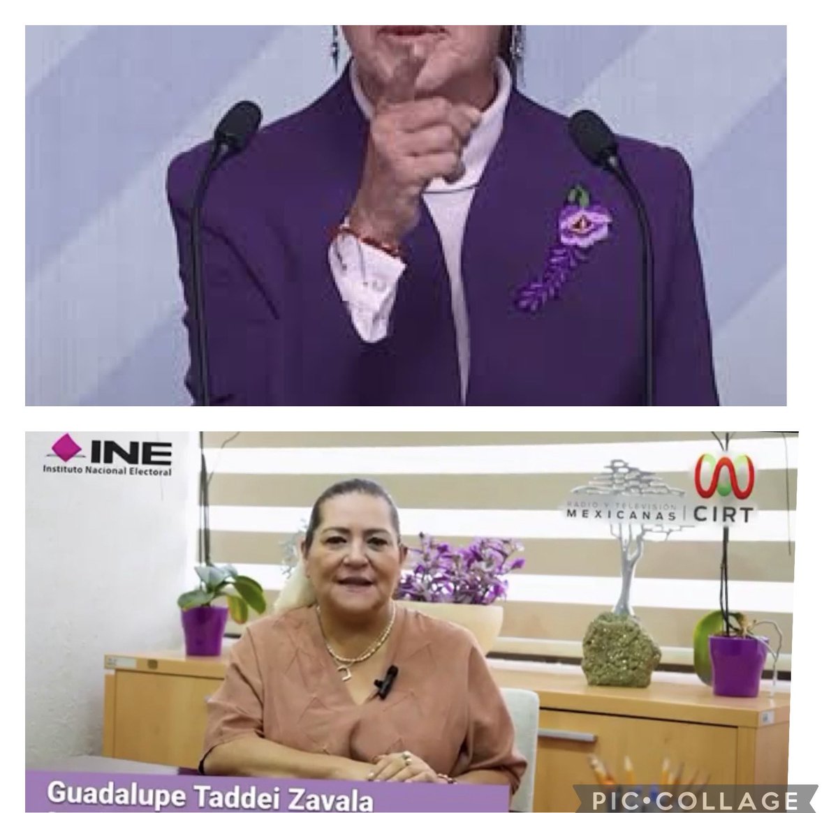 Guadalupe Taddei introduce el morado en el INE para ser fiel a la identidad visual de Morena.
#LenguajeSinPalabras