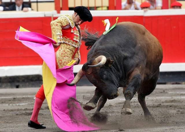 🚨AGORA: Após anos de tradição, Colômbia proíbe touradas, as famosas corridas de touros, em todo o país.