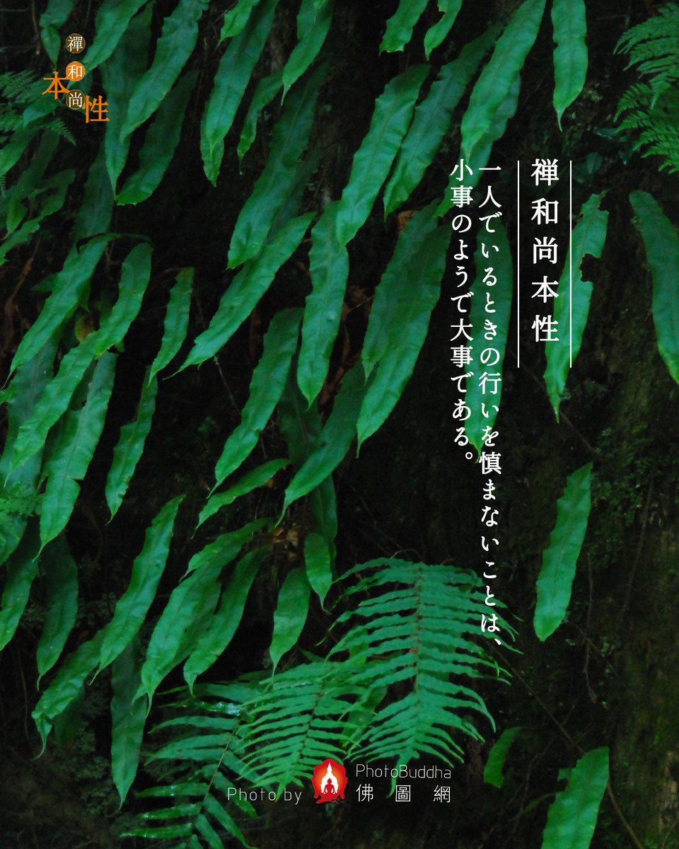 不慎其独，看似事小，但兹事大也。——禅和尚本性
一人でいるときの行いを慎まないことは、小事のようで大事である。——禅和尚本性

#quotes #wisdom #buddha #禅 #语录 #智慧 #buddhism #zen #生活 #佛教 #Mindfulness #仏教  #念经 #hearthealthy #正能量 #日行一善 #innerpeacce #学佛 #人生