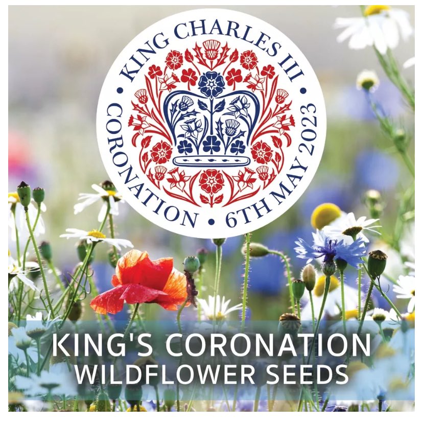 Farnsfield St Michael’s CofE Primary School (@fstmichaels) on Twitter photo Our HM King Charles III Wildflower garden, planted with the coronation wildflower seed we were sent to school, is now in full bloom <a href="/RoyalFamily/">The Royal Family</a> <a href="/EdenProject/">Eden Project</a> Our HM King Charles III Wildflower garden, planted with the coronation wildflower seed we were sent to school, is now in full bloom <a href="/RoyalFamily/">The Royal Family</a> <a href="/EdenProject/">Eden Project</a>