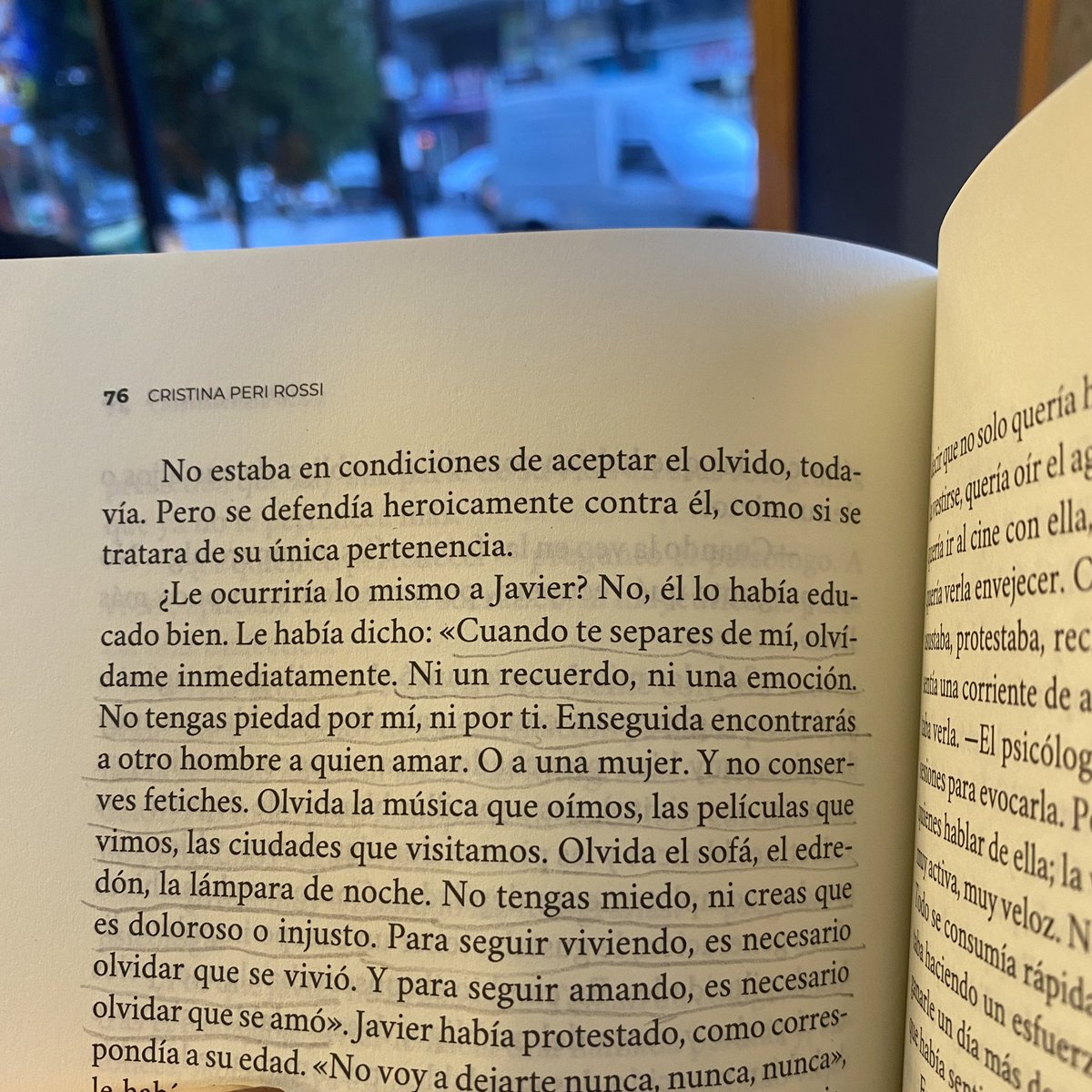 capapeles 🫦📖 tweet media
