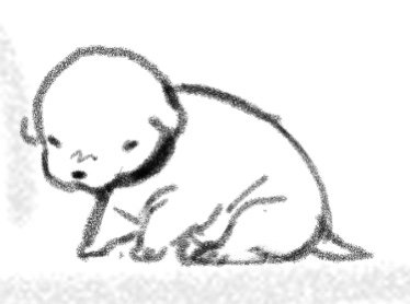 Why puppies look like that