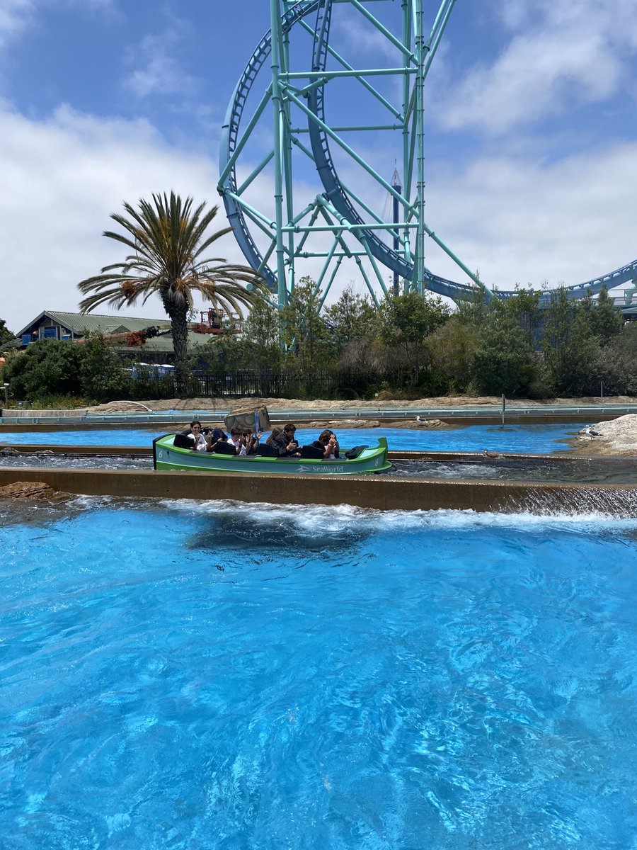 Laura Snowden tweet media