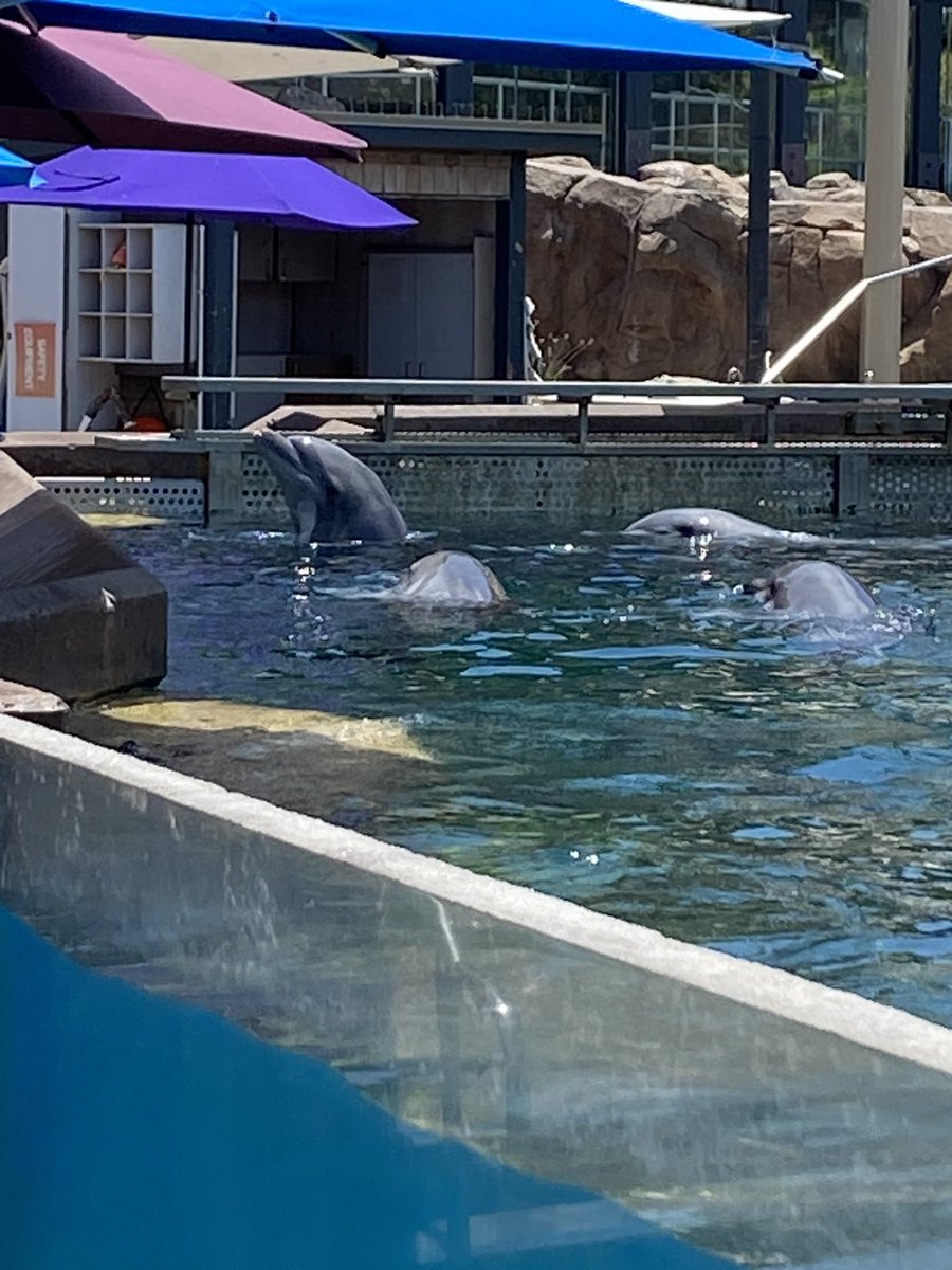 Laura Snowden tweet media