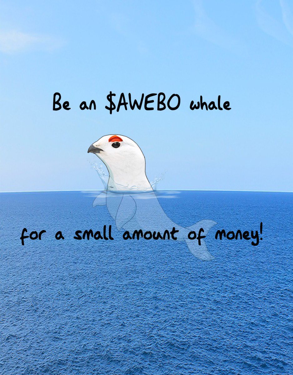 ArielTchimino's tweet photo. $AWEBO on @base 🐦💥💥💥
#AweboToken #awebo #basechian #cryptowhale https://t.co/EDTOWPXIVn