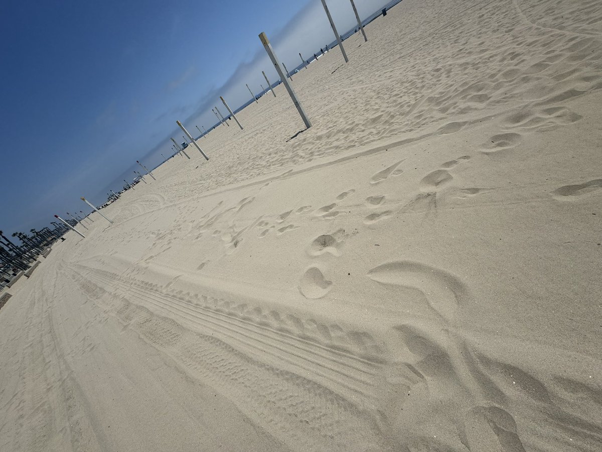 sdaniels009's tweet image. This is how I 

#Transcribe

Guess it’s like my 

#SandScript

Can you feel me? 

#Hb

#CathMeIfYouCan

🩵