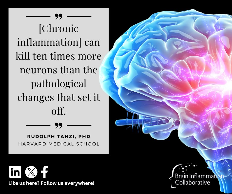 Neuroinflammation evolved as a mechanism to protect the brain from infection and injury.

However, too much inflammation can be worse than the initial infection or injury, especially in the brain.🧵