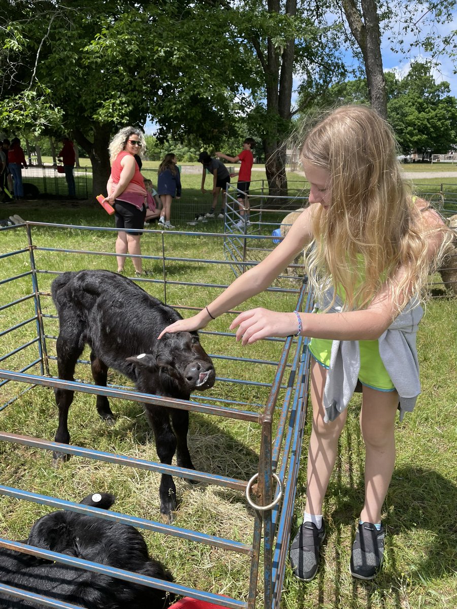 MissPattison5's tweet photo. The @CritterBarn visited school today and we loved it!! https://t.co/813IYHpvpT