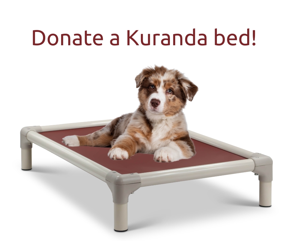 If you've visited our centre, you may have noticed these beds in our adoptable animals' enclosures. These are Kuranda beds! If you would like to donate one of these beds to our organization, we would greatly appreciate it! shelterbeds.org/donate/402032