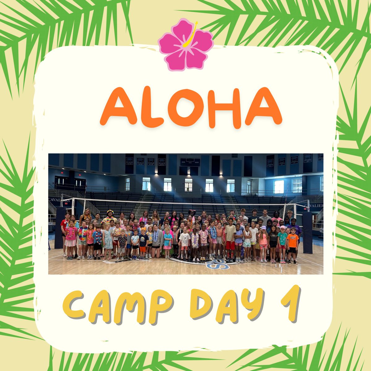 🏐DormanVB🏐 tweet media