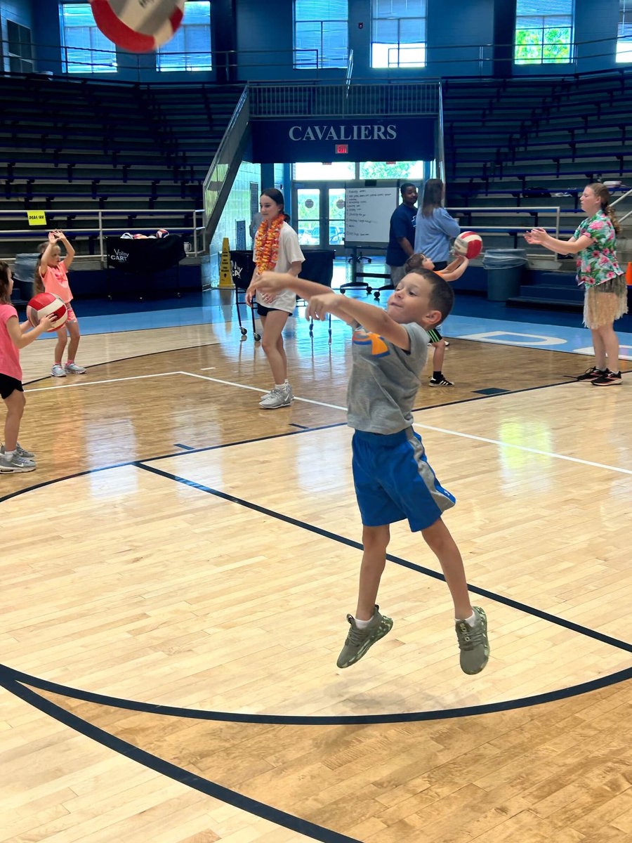 🏐DormanVB🏐 tweet media