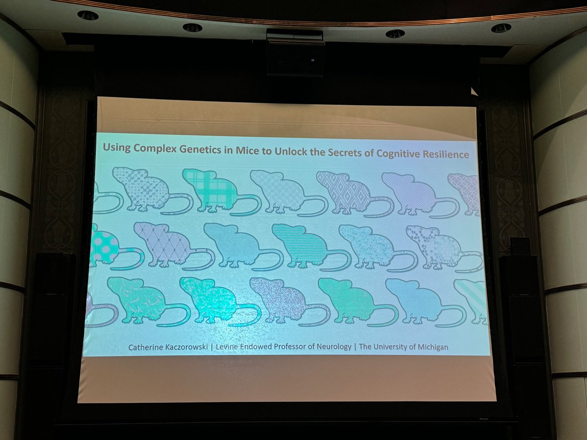 SFN Michigan Chapter tweet media