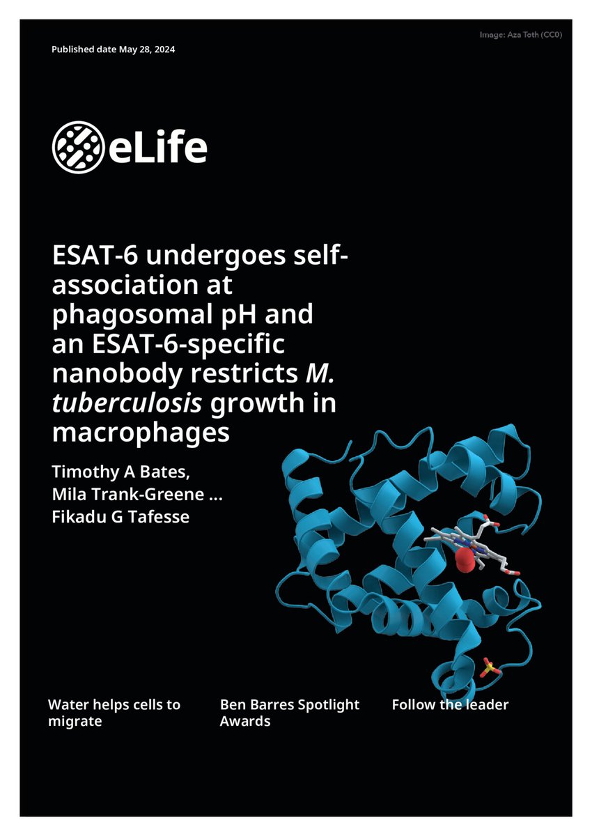 Fikadu G. Tafesse tweet media