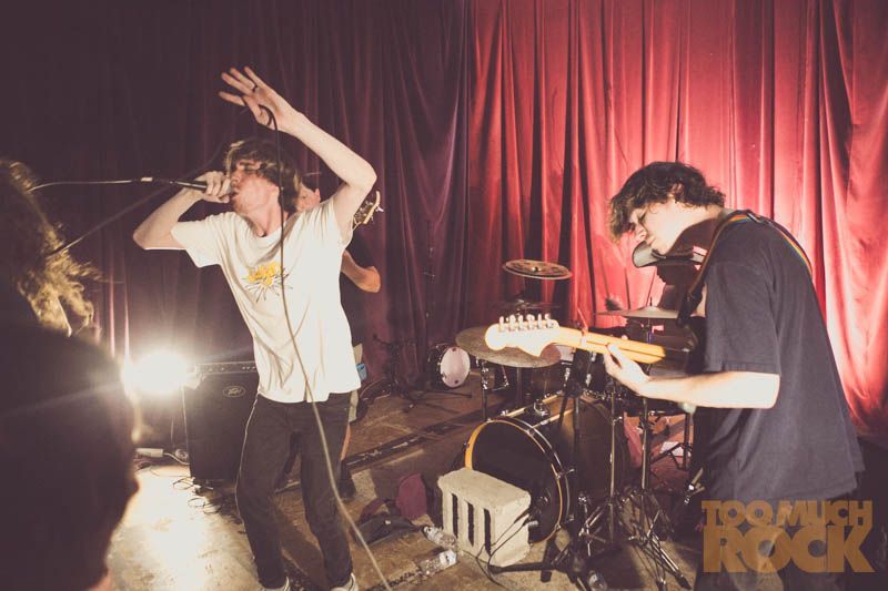 Too Much Rock tweet media