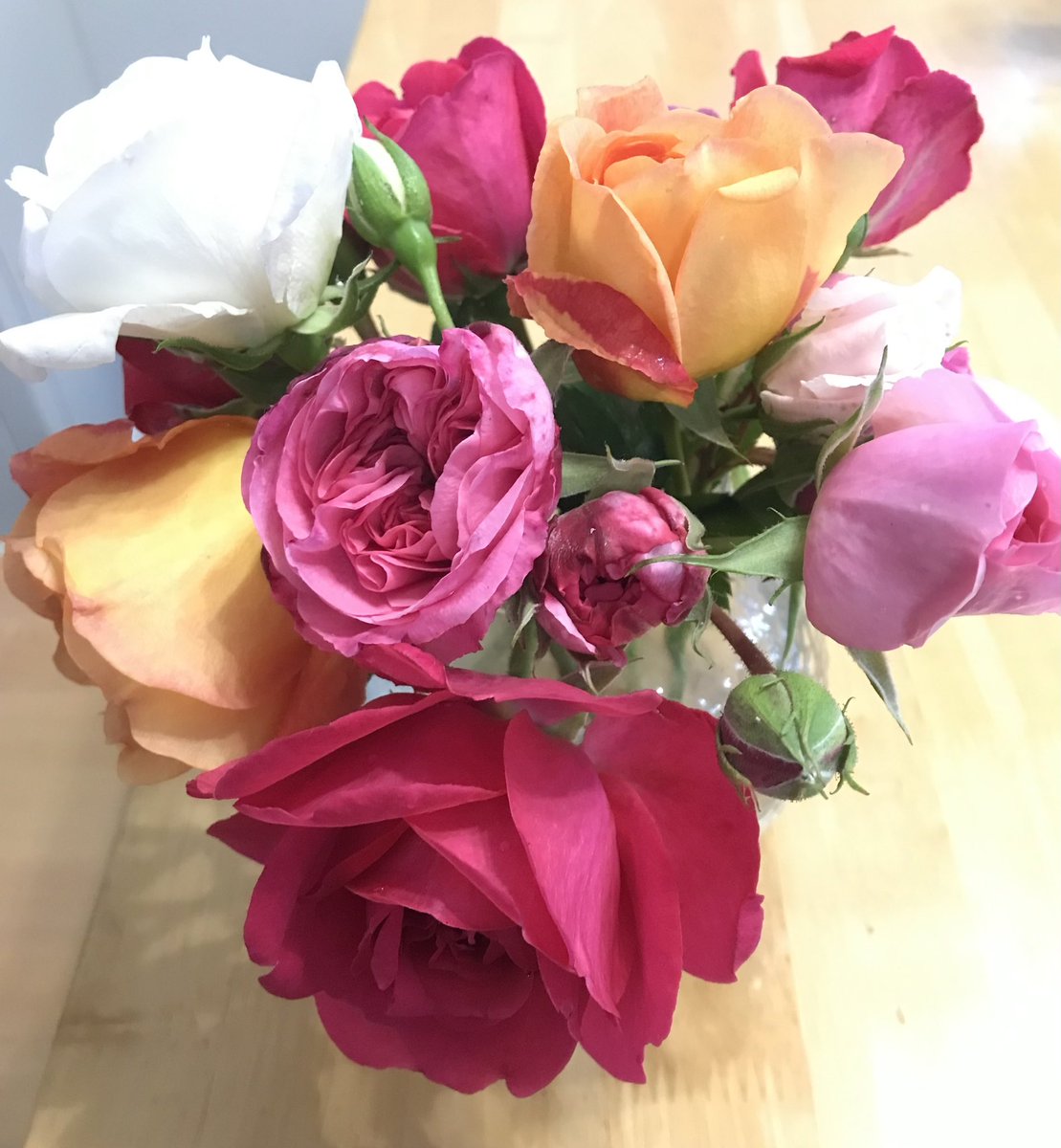 First bowl of roses - 1 month earlier than normal