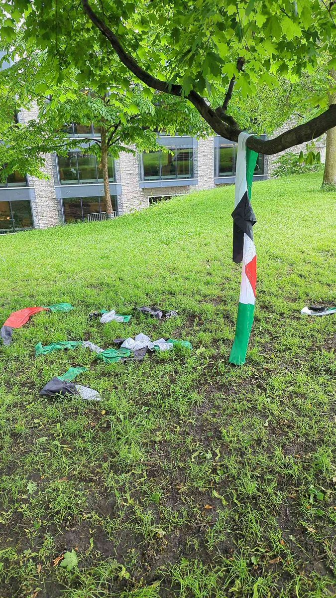 Just discovered at the UofT encampment behind Gerstein!  This is a hate crime.

H/t: kolektiva.social/@Gigi/11252074…