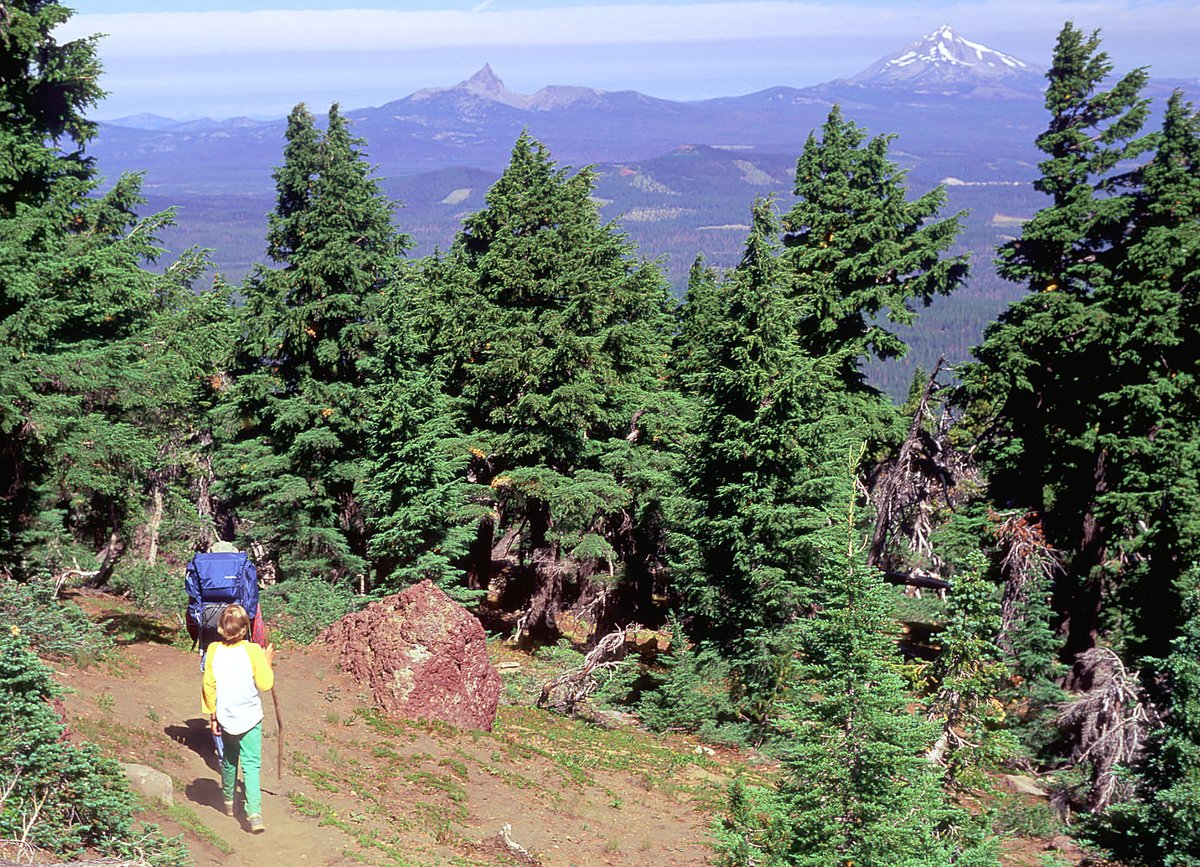 #TrailTuesday #DYK there are more than 26,000 miles of trails located on National Forest Lands in Oregon and Washington? #getoutdoors