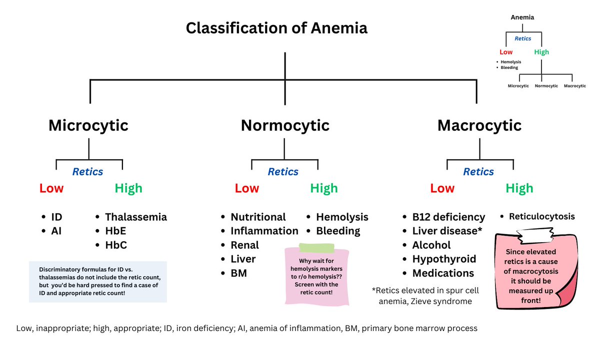 ANEMIA CLASSIFICATION