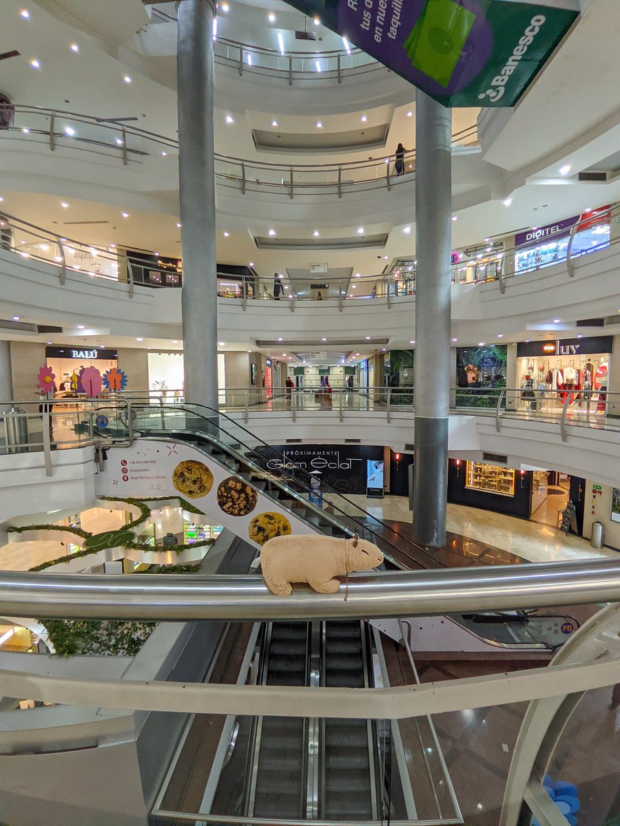 Centro Comercial Tolón. 🏙️

😓 Luego de habernos perdido por media hora en el CCCT y haber caminado como 25 minutos, llegamos a este centro comercial, de compras con nuestro Capy. 🛍️🛒

Vamos a comprarnos ropita, calzado y cualquier cosa que veamos por ahí. 😌