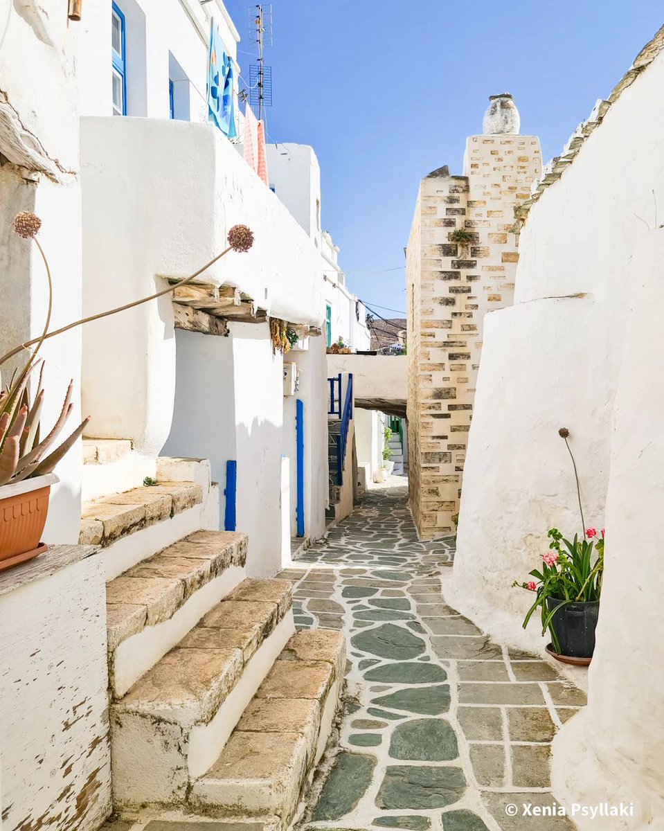 Wander through the narrow alleys of #Folegandros and let the timeless charm of the #Cyclades guide you. 🇬🇷
📷 @xenia_psyllaki