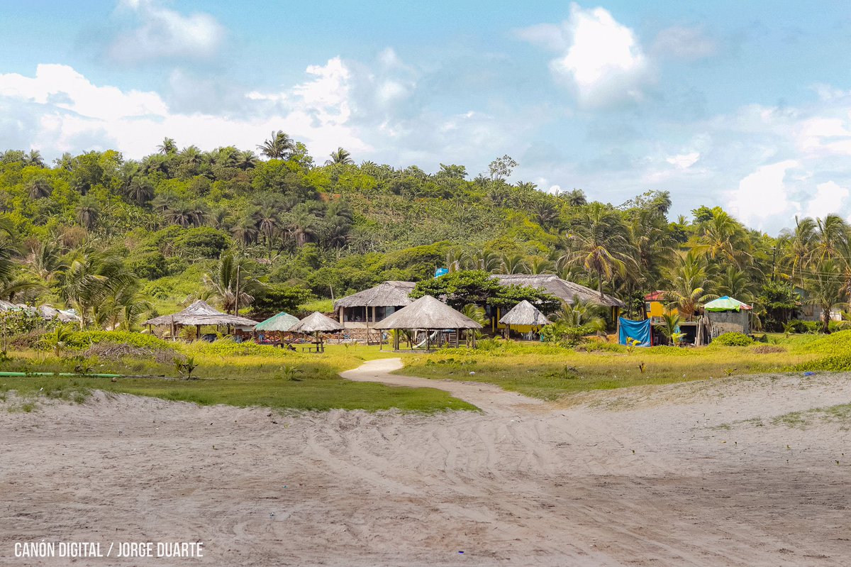 🏖🥥Isla El Bluff se encuentra ubicado en la Región Autónoma de la Costa Caribe Sur, a 11 kilómetros de la ciudad de Bluefields. #SoberaníayDignidadNacional