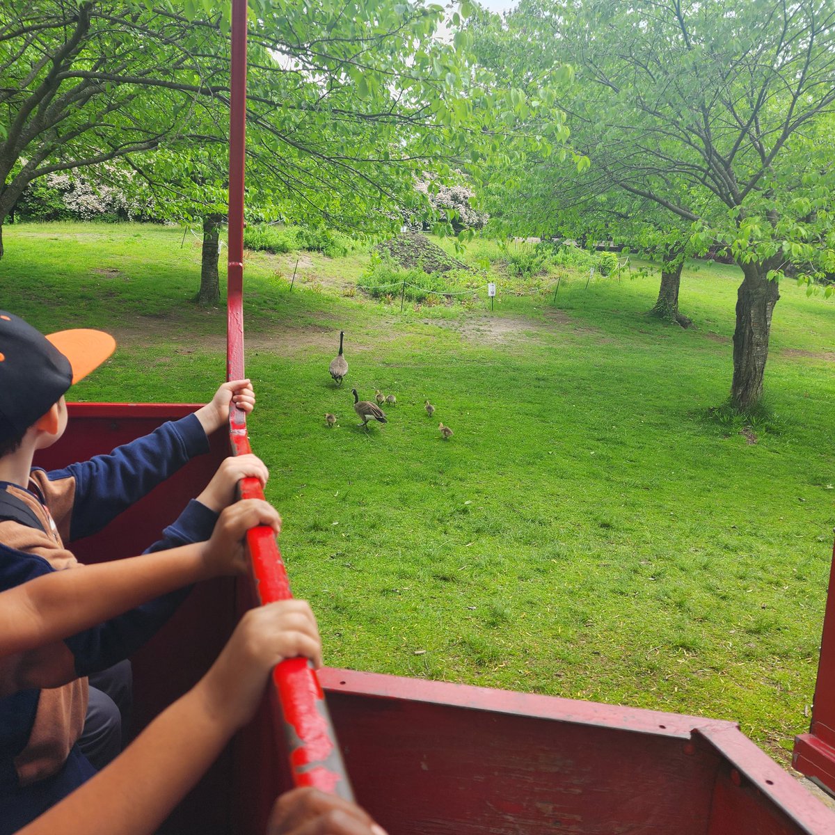 Natasha Arora-Bhalla tweet media