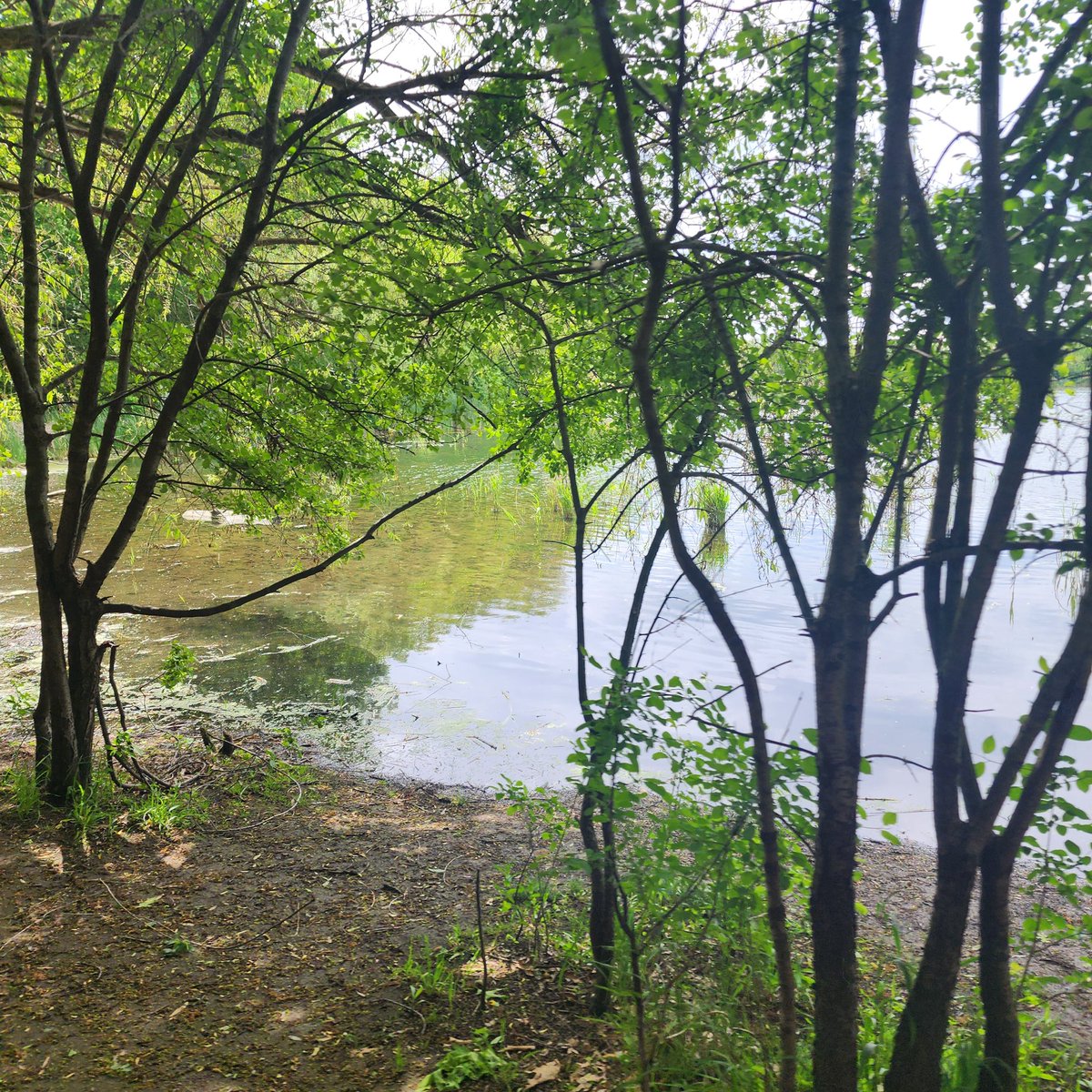 Natasha Arora-Bhalla tweet media