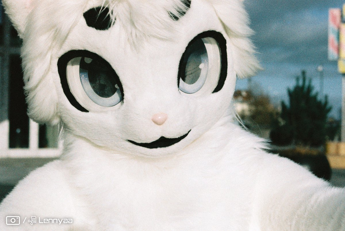 🎞️analog selfie~ uwu~
#nfc2024 #fursuit