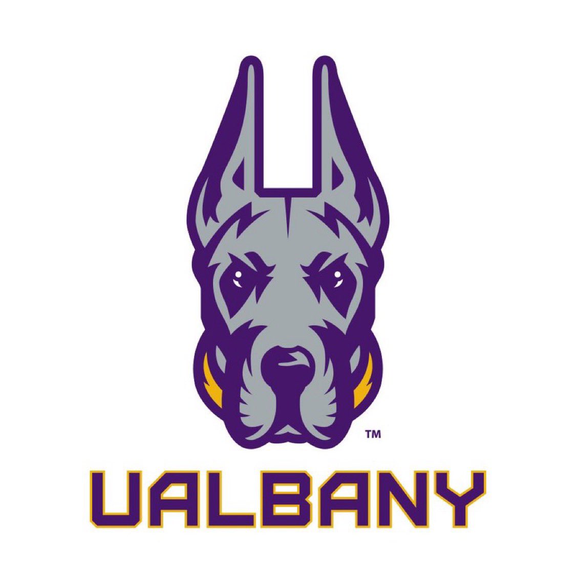 After a great conversation with coach Killings I am honored to receive an offer from The University at Albany! @RiversAthletics @CoachZalaski31 @Scalabrine