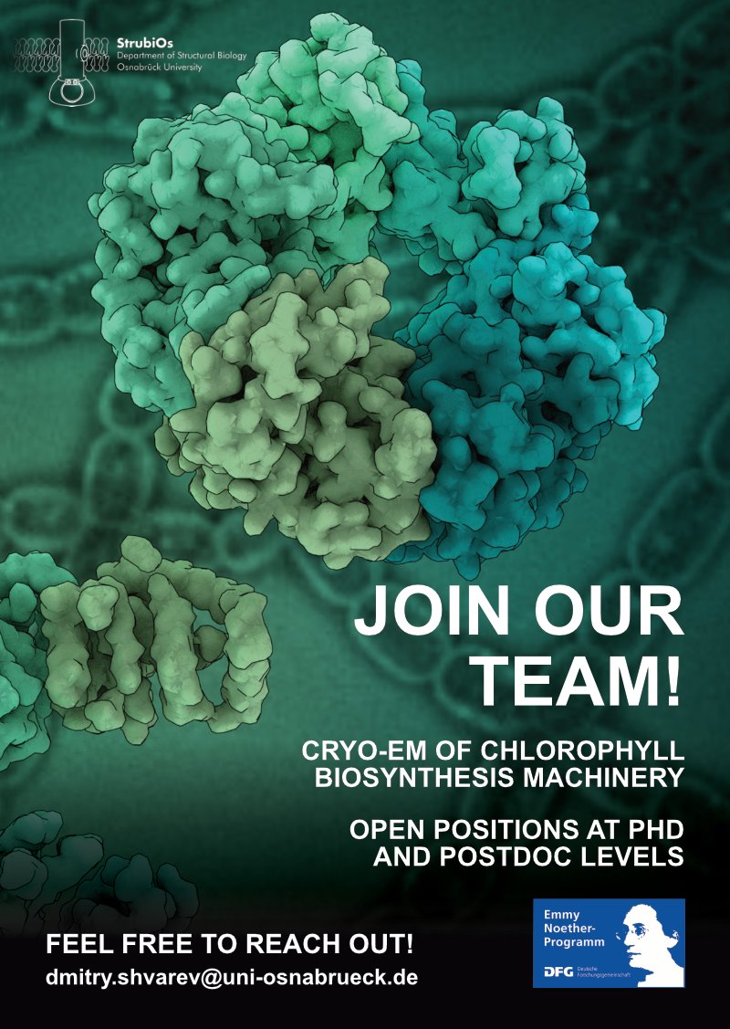 Exciting news! I'm looking for talented individuals to join my soon-to-be-launched Emmy Noether group supported by @dfg_public and @UniOsnabrueck! Reach out if you're passionate about #cryoEM and #photosynthesis!

bit.ly/ChlorophyllPhD
bit.ly/ChlorophyllPos…

#ScienceJobs
