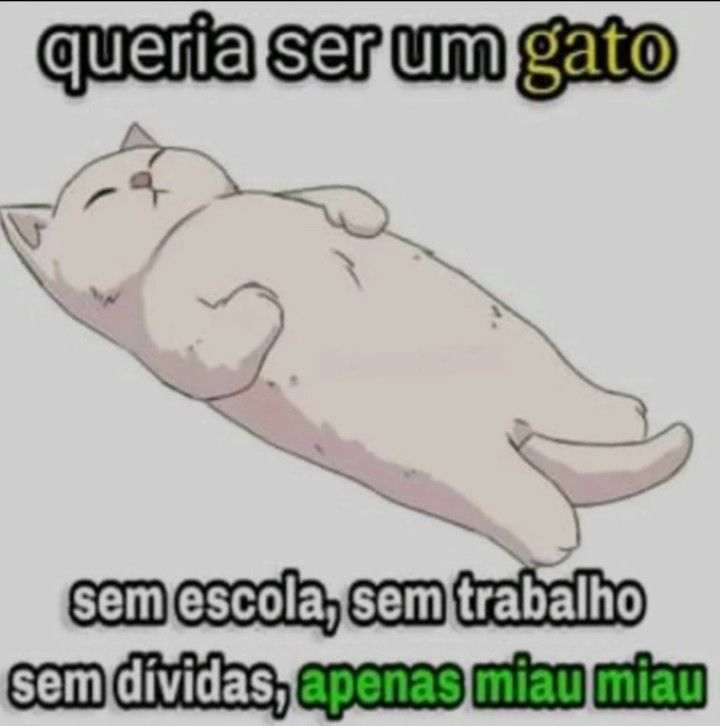 TerrorCotidiano's tweet photo. https://t.co/52gPIej1rV
