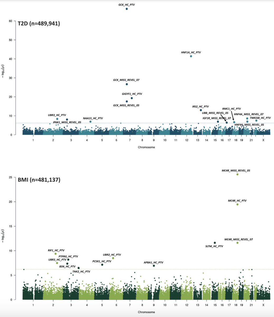 Whole genome sequencing in UK Biobank & All of Us (N=700K) offers interesting mechanistic insights into type 2 diabetes and obesity through improved capturing  of protein-truncating variants in coding sequences (beyond non-coding regions) 🧬
medrxiv.org/content/10.110…