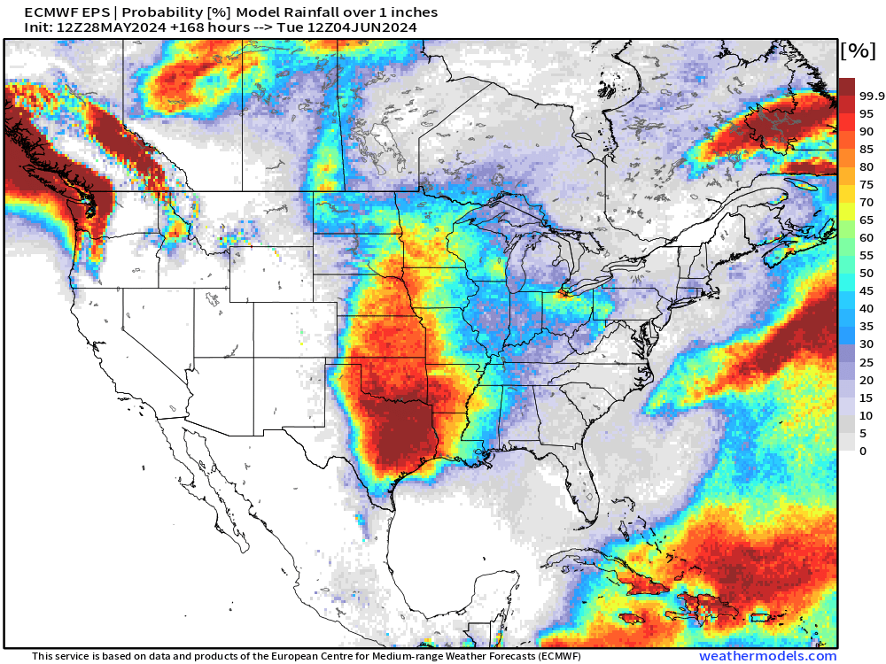 👇Probability of 1' or more of rainfall the next 7 days via the latest Euro Ensemble. ✅We will be tracking the continued active pattern and more over at BAMWX.com and the @clarity_wx platform! #plant24 #OATT #corn #soybeans