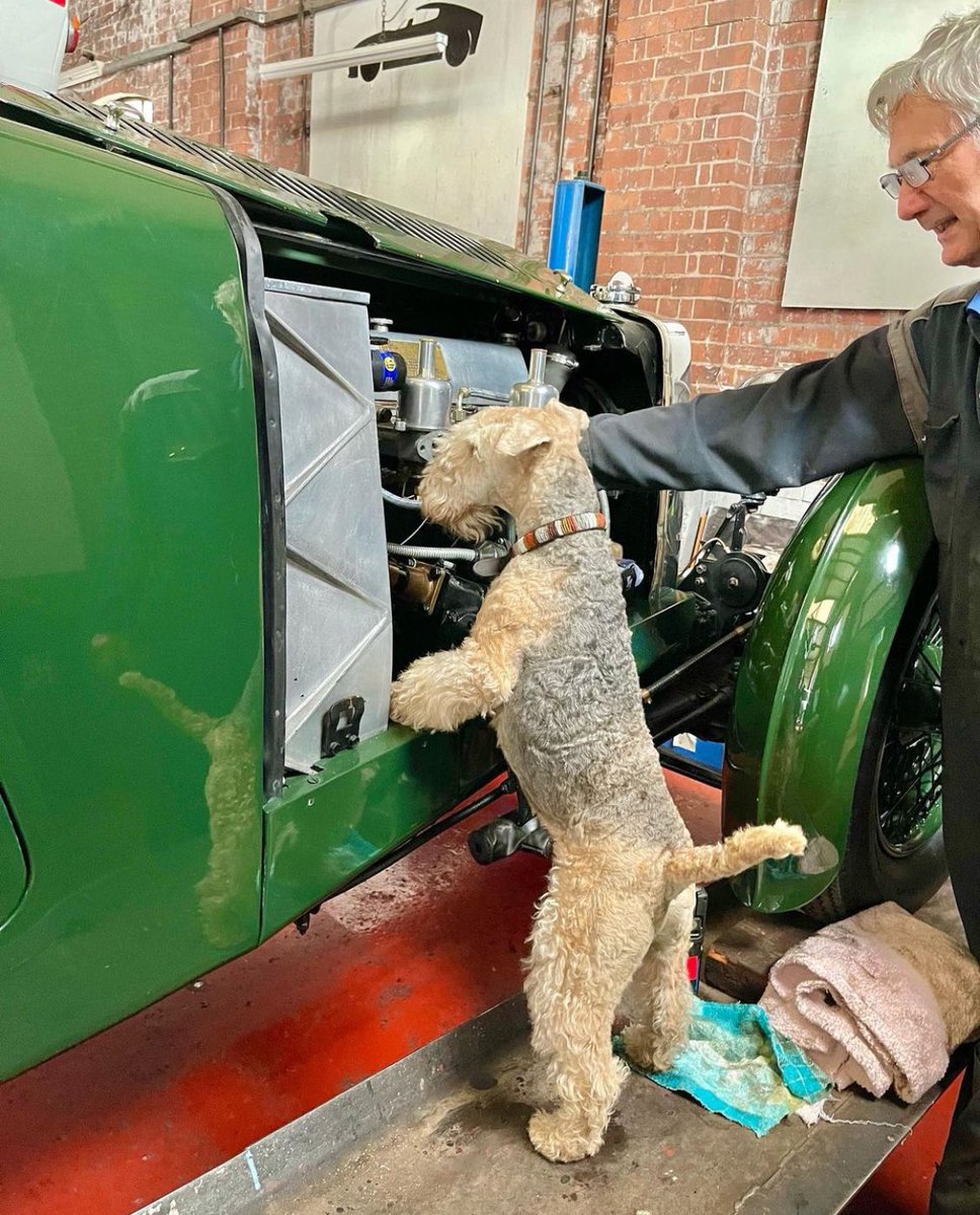 Did you know that Lakeland Terriers have many skills …….. ❤️ Call Lakeland Garage Services for all of your Mechanical Requirements 0800 800 VROOM ❤️