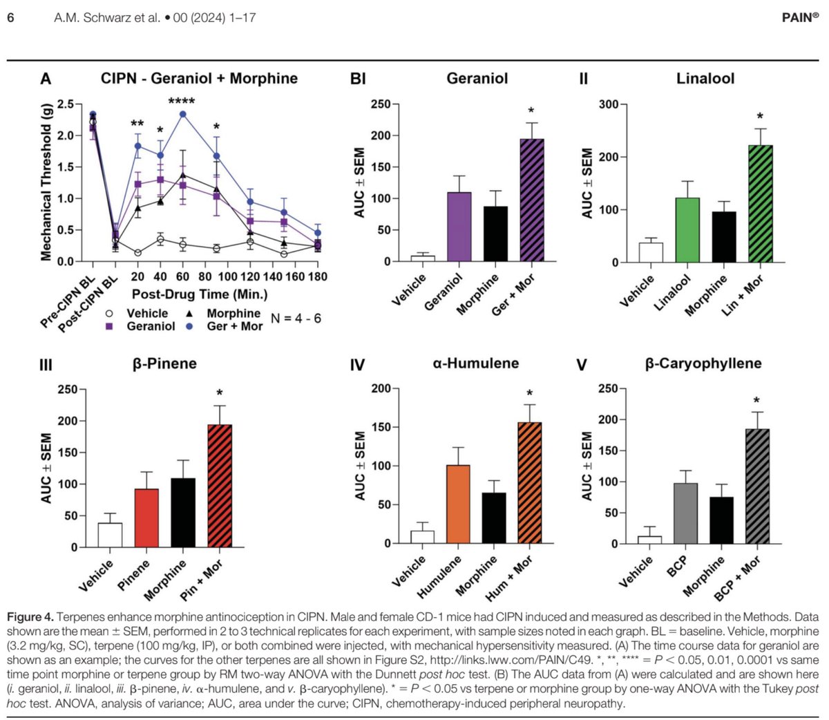 Dr Caplan (@drcaplan) on Twitter photo 🌿 Exciting news: A new study from <a href="/uarizona/">University of Arizona</a> found that cannabis terpenes could relieve chemotherapy-induced neuropathic pain as effectively as morphine, but w/out the nasty side effects.
Terpenes like #AlphaHumulene, #BetaCaryophyllene, #BetaPinene, #Geraniol, and #linalool 🌿 Exciting news: A new study from <a href="/uarizona/">University of Arizona</a> found that cannabis terpenes could relieve chemotherapy-induced neuropathic pain as effectively as morphine, but w/out the nasty side effects.
Terpenes like #AlphaHumulene, #BetaCaryophyllene, #BetaPinene, #Geraniol, and #linalool