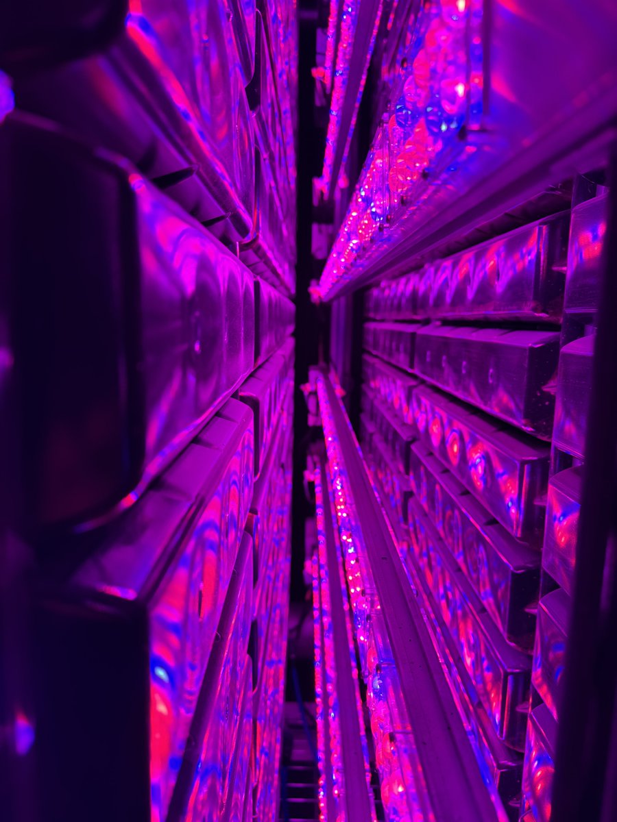 Þörungarækt er framtíðin?

Já 💪❤️