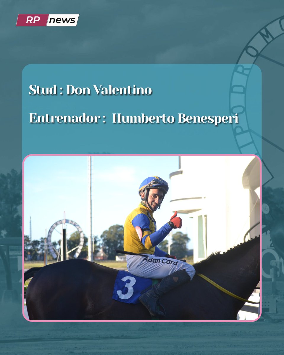 Revista Palermo tweet media