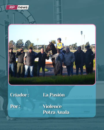 Revista Palermo tweet media