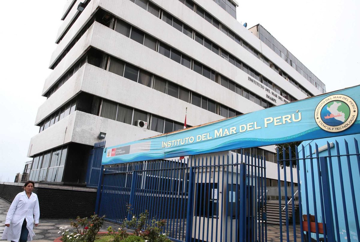 #OjoAlDato El #Imarpe reincorporó a Oswaldo Flores Huamán, trabajador al que acusó de filtrar datos sobre la estimación de la biomasa de anchoveta. La reposición se dio luego de que #Servir anuló la sanción de la entidad dos veces. 🧵
📷Andina.
✍️Red Regional / @MaghaliEstrada