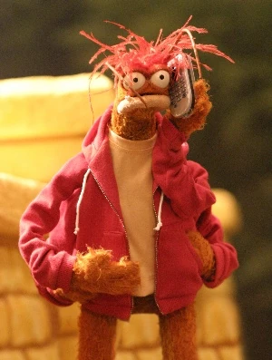 PepeTheKingPrawn tweet media