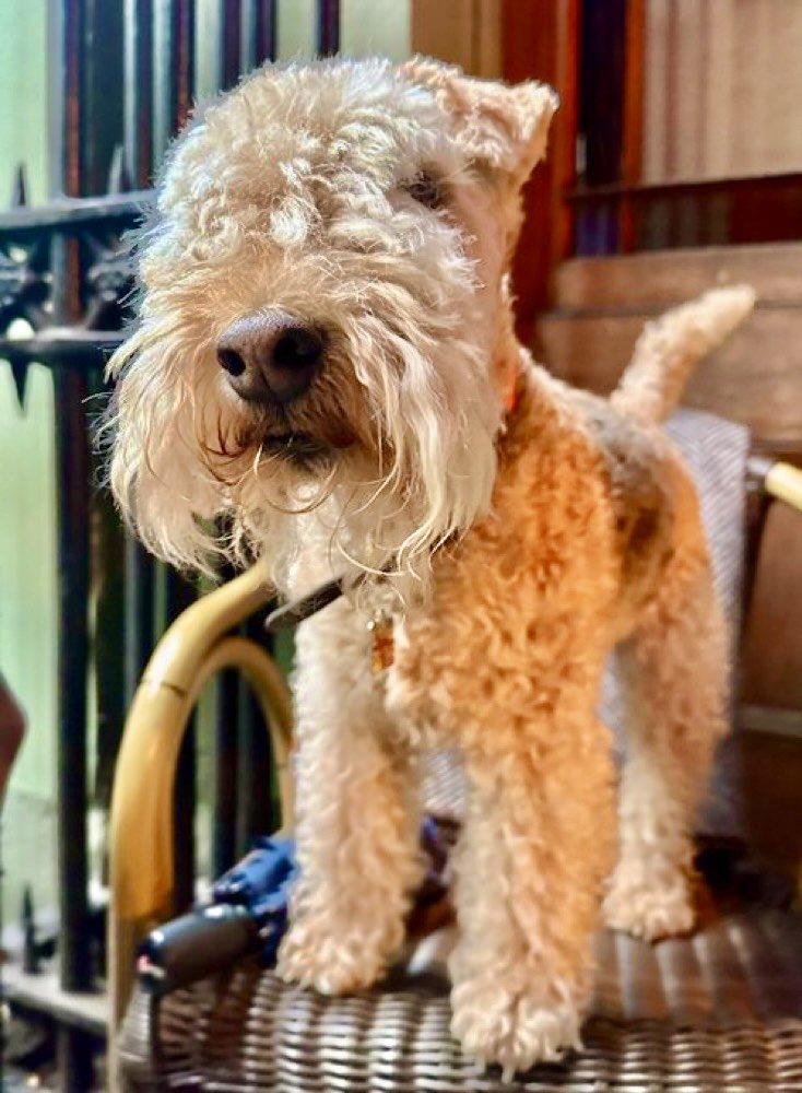 Well my pals Jeffrey and Jo turned up for a little snifter …… Jeffrey didn’t paint me but he did take a rather good photograph of me ….. what do you think? ❤️