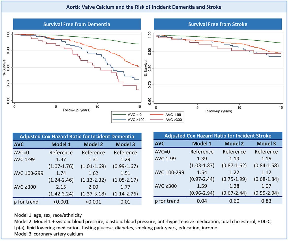 Natalie Marrero (@n_marreromed) on Twitter photo Check out our recent publication on AVC showing a stepwise increased risk of incident dementia even after adjusting for atherosclerotic risk factors and CAC scores. atherosclerosis-journal.com/article/S0021-… <a href="/JelaniGrantMD/">Jelani K. Grant</a> <a href="/rblument1/">Roger Blumenthal</a> <a href="/seamuswhelton/">Seamus Whelton</a> <a href="/CiccaroneCenter/">Johns Hopkins Ciccarone Center</a> <a href="/AlexRazavi/">Alexander C. Razavi</a> Check out our recent publication on AVC showing a stepwise increased risk of incident dementia even after adjusting for atherosclerotic risk factors and CAC scores. atherosclerosis-journal.com/article/S0021-… <a href="/JelaniGrantMD/">Jelani K. Grant</a> <a href="/rblument1/">Roger Blumenthal</a> <a href="/seamuswhelton/">Seamus Whelton</a> <a href="/CiccaroneCenter/">Johns Hopkins Ciccarone Center</a> <a href="/AlexRazavi/">Alexander C. Razavi</a>