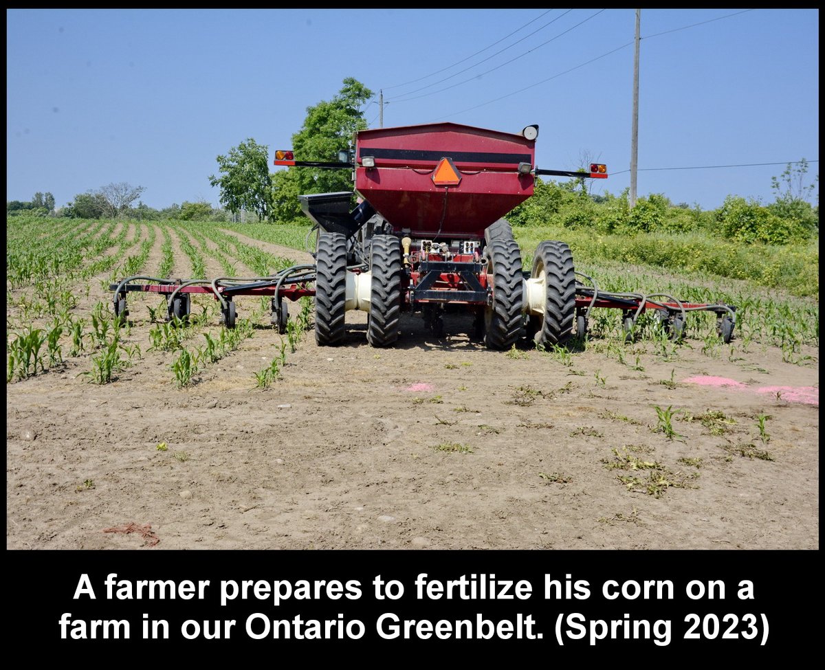 Day 551c of our pictures & the Doug Ford urban sprawl must be stopped. Let's finish this with protecting all our #Greenbelt and STOP #Hwy413 the Bradford Bypass & save nature. #DougFordisaLiar & the #RCMP investigation continues.@Gasp4Change @GreenbeltAllies #GreenbeltScandal