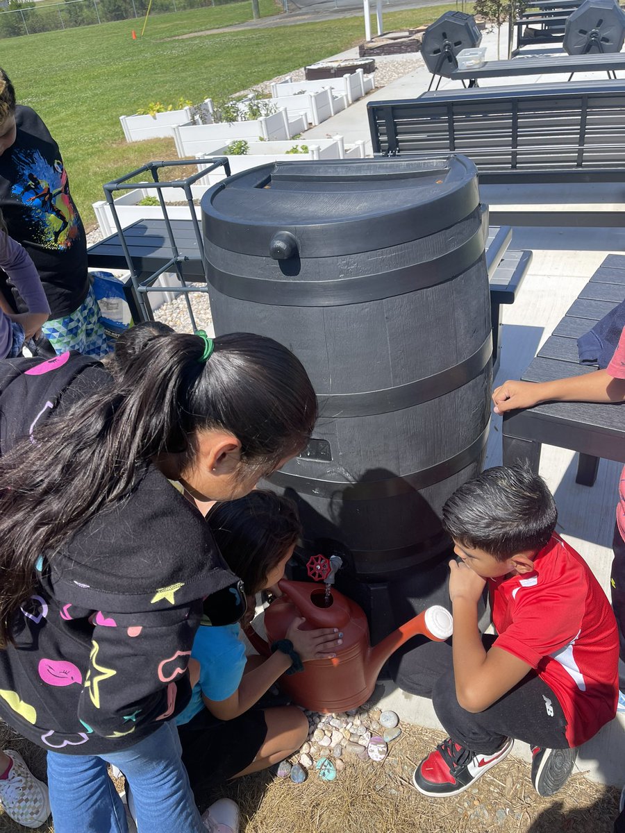 Thankful for all the rain. Students used rain water to water the garden today. #WingateAgTech @UCPSNC @WingateESNC @Renee_McKinnon1 @AGHoulihan