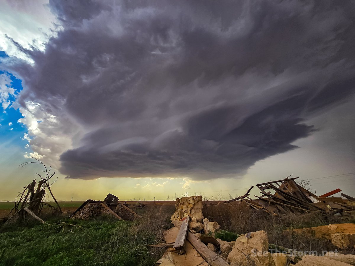 Vince Waelti 🌪 tweet media