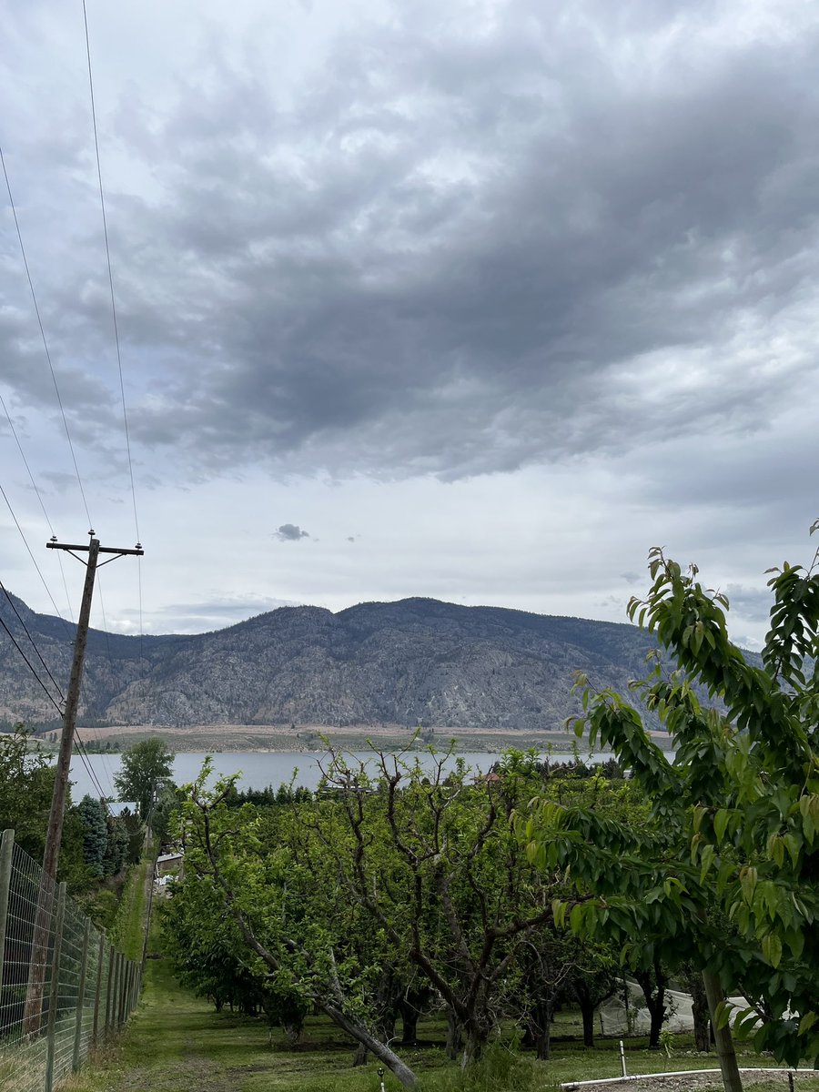 Dave_Eby's tweet photo. Got a tour of the Ranbir Kambo’s orchard with the BC Fruit Growers Association in #Osoyoos. Fruit growers like Ranbir were heavily impacted by extreme temperatures. Our team is determined to help farmers and strengthen BC’s agriculture and food supply. https://t.co/k4aDXiqk8t