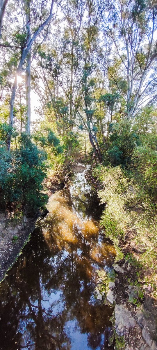 GabyValdera's tweet photo. Arroyo de las torres. Gerena https://t.co/JR44Xo7Nmv