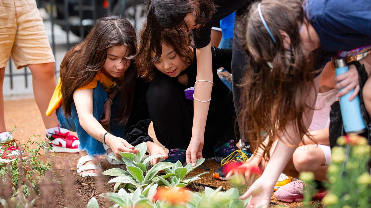 LatinoOutdoors's tweet image. The 2024 Park Score Report from @tpl_org is out!

Download, read and share the full report including findings, recommendations, methodology, and case studies: tpl.org/wp-content/upl…

#TPLParkScore