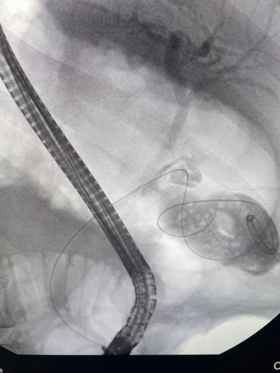 Douglas G. Adler MD, FASGE, FACG, AGAF tweet media