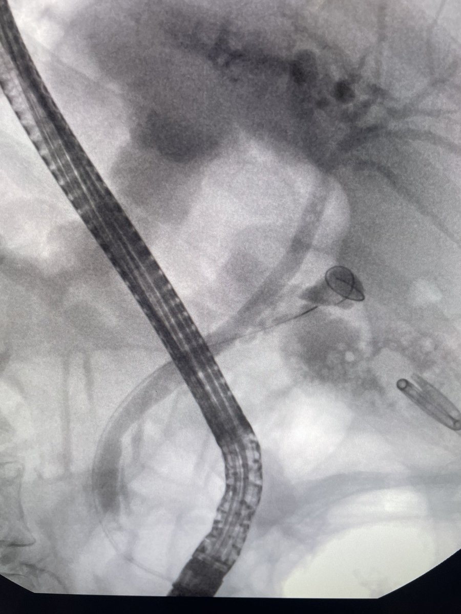 Douglas G. Adler MD, FASGE, FACG, AGAF tweet media